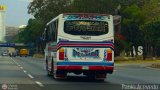 Expresos Pegamar 0014