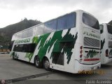 Expresos Flamingo 0171