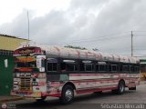 Colectivo Matera Nueva 29, por Sebastin Mercado