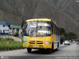 Lnea Los Andes S.C. 035