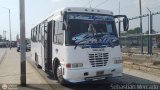 U.C. Lneas Unidas 300