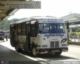 A.C. de Transporte La Raiza 117