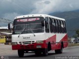 Colectivo Los Andes (Mrida - El Vigia) 01