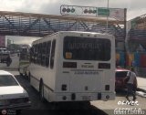 DC - A.C. Casalta - Chacato - Cafetal