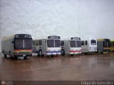 Maquetas y Miniaturas 951, por Edgardo Gonzlez