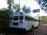 AN - A.C. de Conductores Divino Nio 019 Blue Bird TC2000 Blue Bird Diesel 01