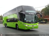 FlixBus (Chile) 081