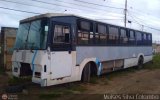 En Chiveras Abandonados Recuperacin 0003