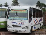 A.C. Lnea Panamericana 37 Carroceras Michelena Tonina Micro Chevrolet NPR Turbo Isuzu