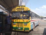 ZU - Colectivos Concepcin 099