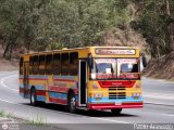 Transporte Colectivo Camag 06