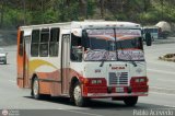 A.C. de Transporte La Raiza 028 por Pablo Acevedo