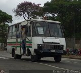 DC - Cooperativa de Transporte Pasajeros del Sur 251