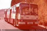 Instituto Municipal de Transporte Colectivo 160 Ikarus 280 Man Raba D 2156 HM6U
