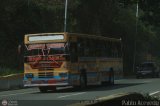 Transporte Colectivo Camag