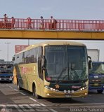 Transporte Flores Hermanos S.R.L (Per) 969B