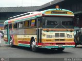 Cooperativa Canaima 04 Blue Bird All Canadian Blue Bird Diesel 01