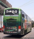 Trans Dora (Per) 066