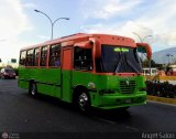 Coop. Transporte Menca de Leoni 080