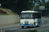 A.C. de Transporte Nmero Uno R.L. 240