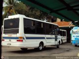 A.C. Transporte Paez 044 Intercar Urbano I Chevrolet P31 Nacional