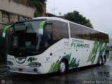 Expresos Flamingo 57