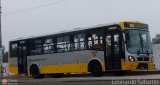 Per Bus Internacional - Corredor Amarillo 2050