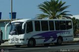 A.C. Transporte Vencollano 07