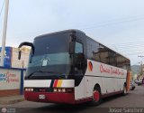Cruceros Oriente Sur 104