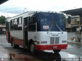 A.C. de Transporte La Raiza 006