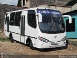 TA - Lnea Concordia 48 Carroceras Urea Orion Chevrolet NPR Turbo Isuzu