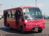 ZU - A.C. Uniceis 49