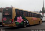 Transporte Flores Hermanos S.R.L (Per) 953, por Leonardo Saturno