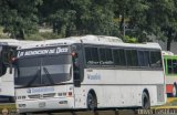 Transporte Los Siervos de Dios 0007