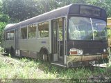 En Chiveras Abandonados Recuperacin 966