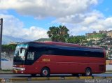 Los P�jaros de Lara 0290 por Josu� S�nchez
