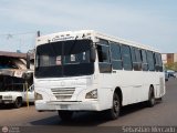 Colectivo Matera Nueva 33, por Sebastin Mercado