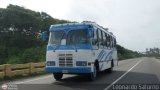 Lnea Altagracia 08