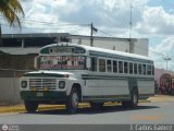 Transporte Doa Cira 98 Blue Bird All American RE Ford B-750