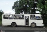 U.C. Expresos Valera 088 Encava E-810 Blue Bird Diesel 01