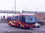Empresa de Transporte Per Bus S.A. 356