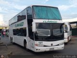 Expresos Flamingo 0141