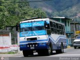 A.C. Transporte San Alejo 29