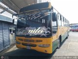 ZU - Colectivos Concepcin 083