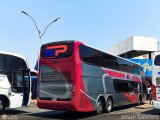 Expresos Pegamar 1308