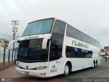 Expresos Flamingo 0141