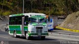 A.C. de Transporte Amigos de Ca 93