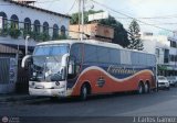 Expresos Occidente 084