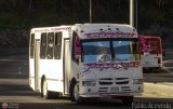 A.C. de Transporte Nmero Uno R.L. 028