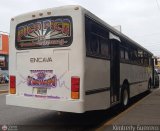 Transporte 1ero de Mayo 040